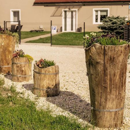 Apartament Pod Lasem Appartement Oldrzychowice Klodzkie Buitenkant foto